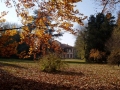 5c-autunno