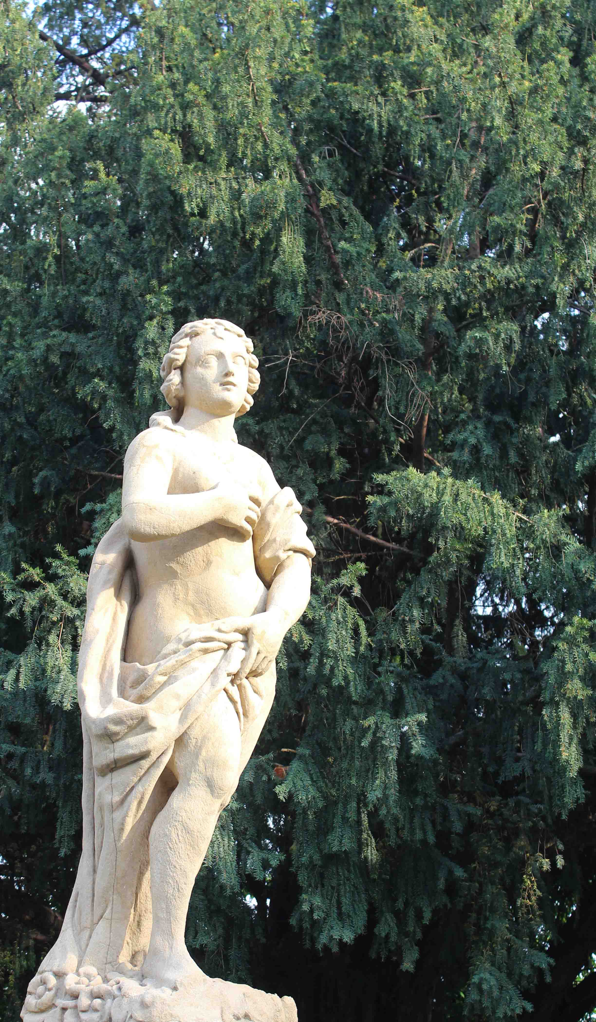 cesano31